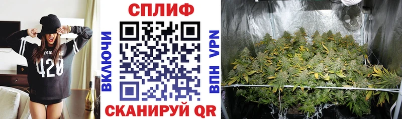 Шишки марихуана семена  Купить где  Исилькуль 